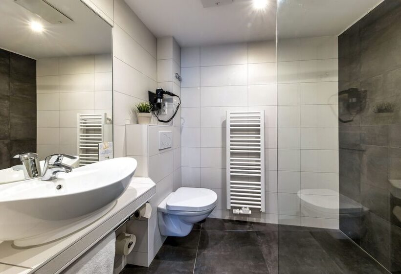 غرفة قياسية فردية, Akzent Hotel Restaurant Roter Ochse Rhens Bei Koblenz