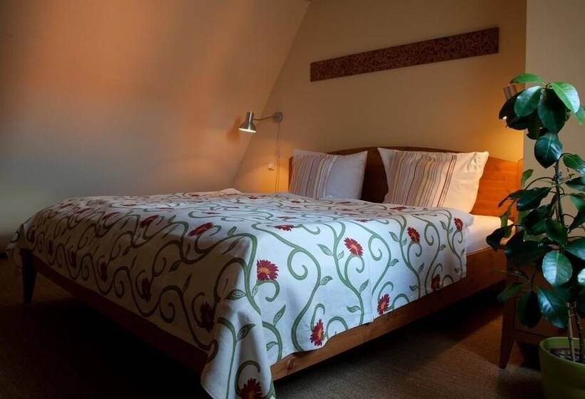 חדר סטנדרט יחיד, Am Hoken