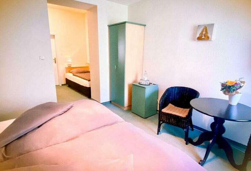 اتاق استاندارد سه نفره, Ambiente Et Art