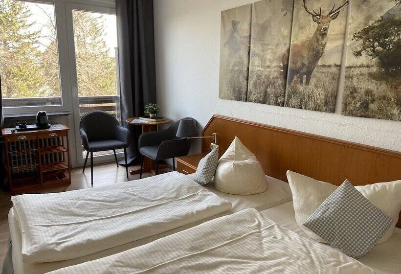 Номер Стандартный с Видом, Berghotel Harz