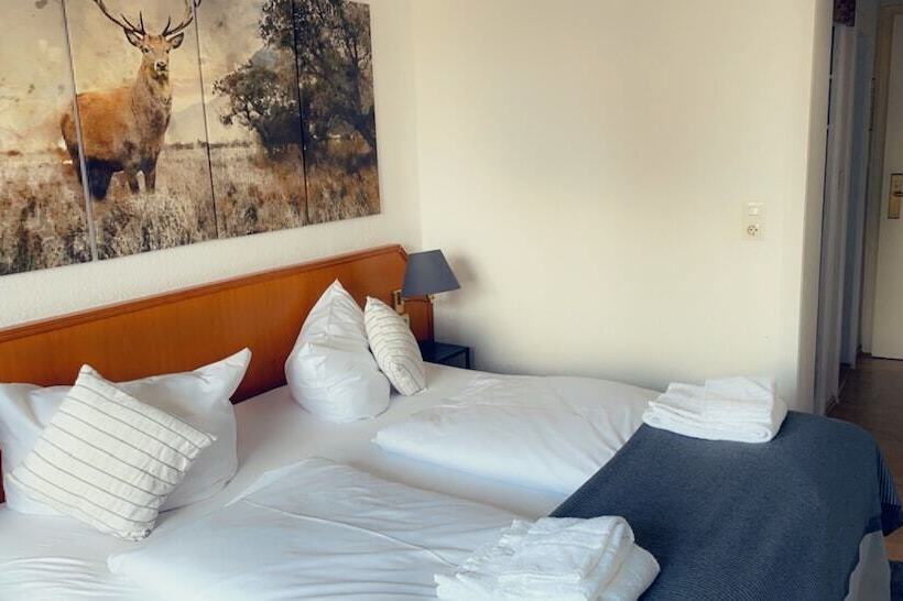 اتاق استاندارد با چشم‌انداز, Berghotel Harz