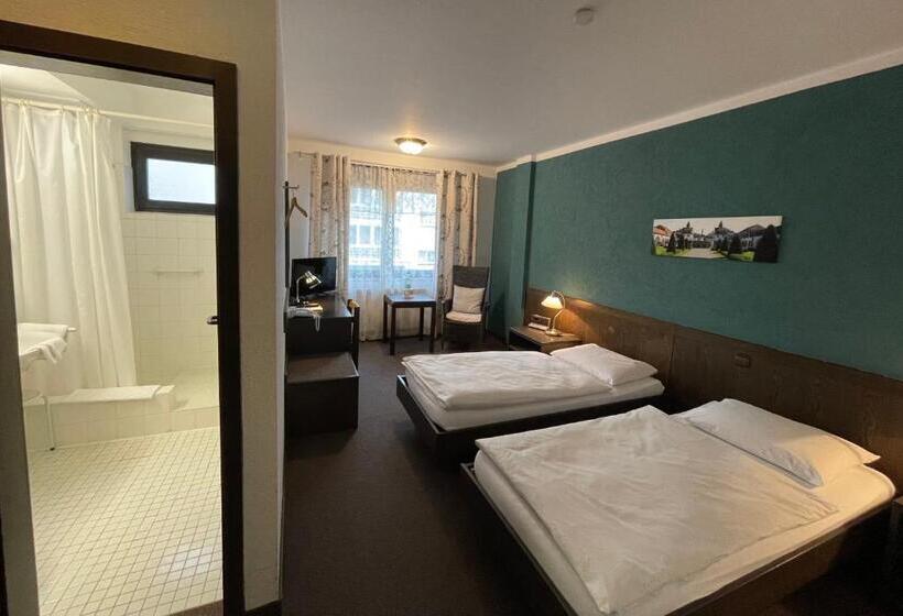 اتاق استاندارد, Brunnenhof