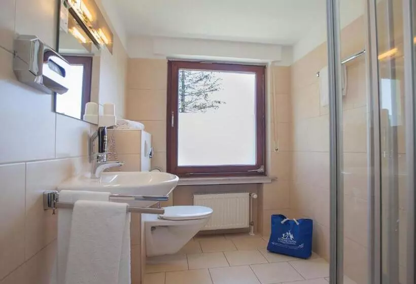 اتاق استاندارد یک نفره, Der Schöne Asten   Resort Winterberg