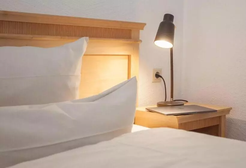 اتاق استاندارد یک نفره, Der Schöne Asten   Resort Winterberg