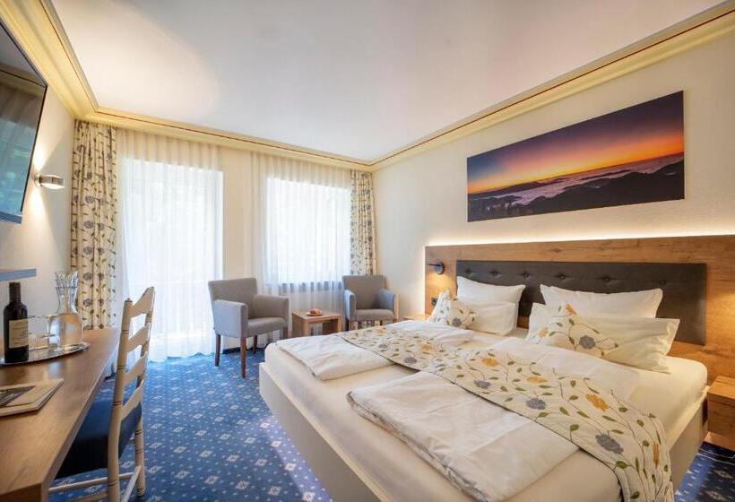 Номер Стандарт Вид на Озеро, Langenwaldsee