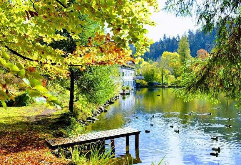 Номер Стандарт Вид на Озеро, Langenwaldsee