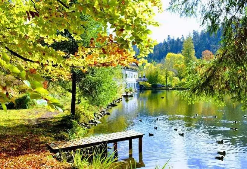 レイクビュースタンダードルーム, Langenwaldsee