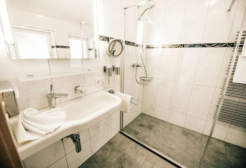 Номер Стандарт Вид на Озеро, Langenwaldsee