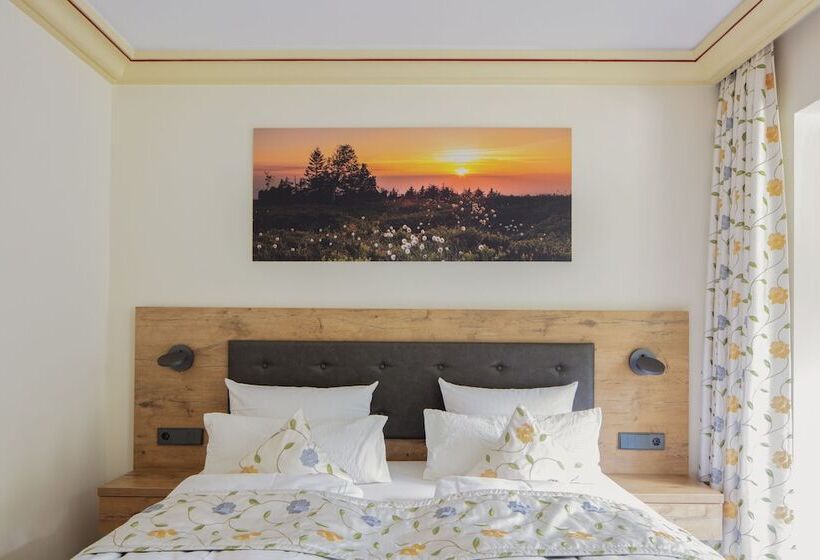 Номер Стандарт Вид на Озеро, Langenwaldsee