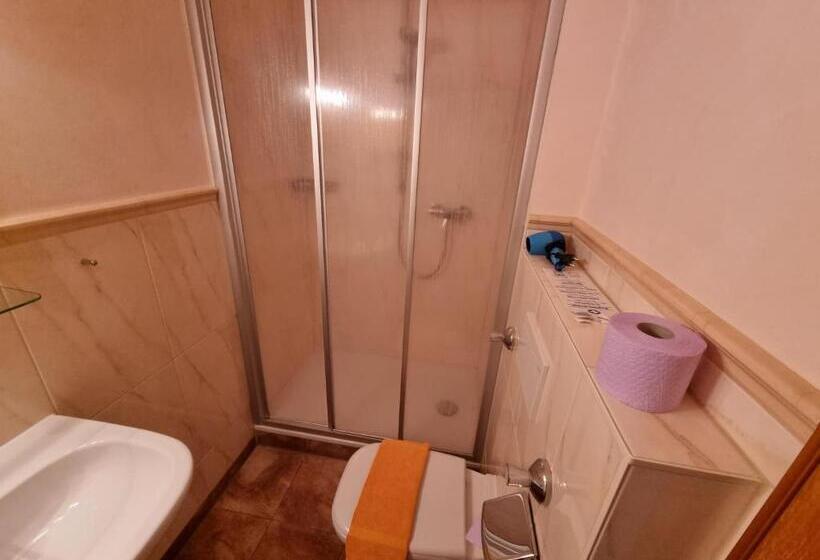 싱글 디럭스 룸, Pension Geiger