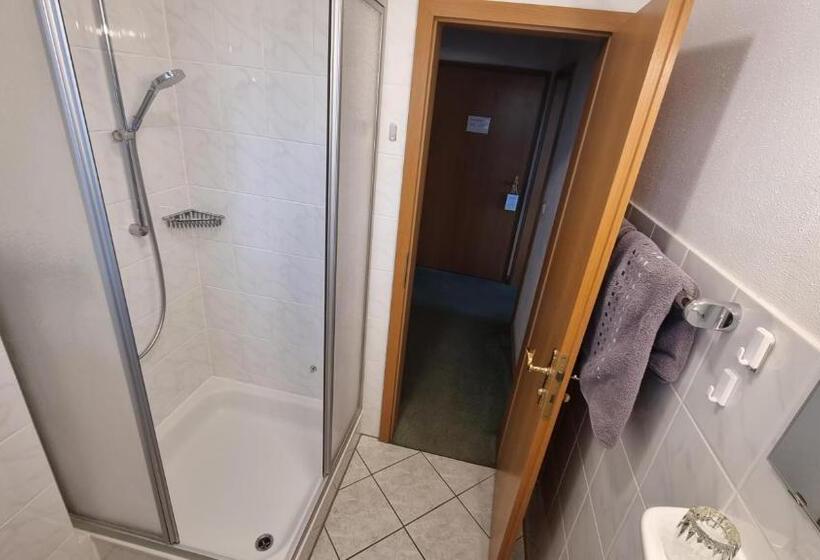 수피리어 룸, Pension Geiger