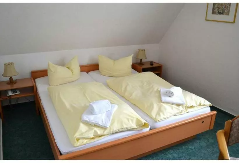 Standard-huone, Pension & Restaurant Zum Harzer Jodlermeister