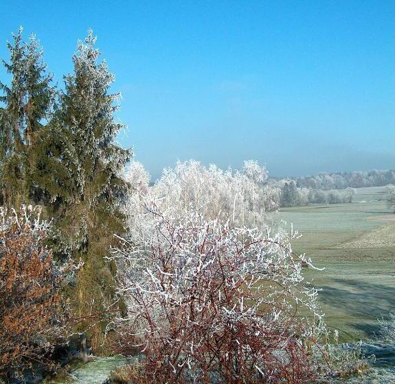 Standard-huone, Schlossberghof Marzoll