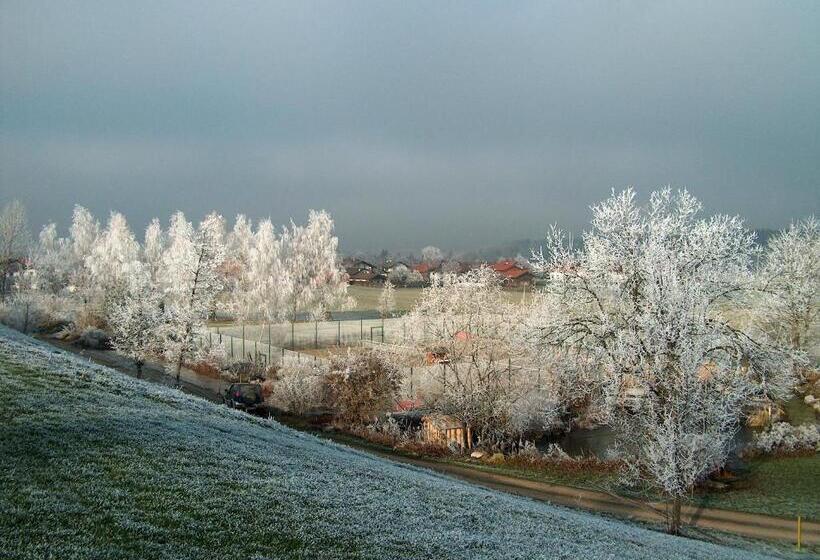 Standard-huone, Schlossberghof Marzoll