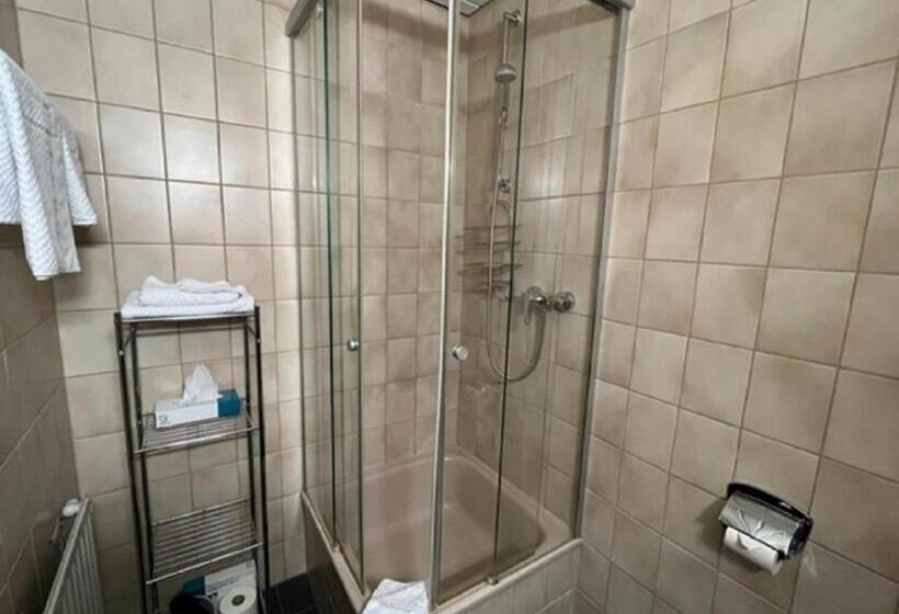 Номер Стандарт Двуспальная Кровать, Stadt