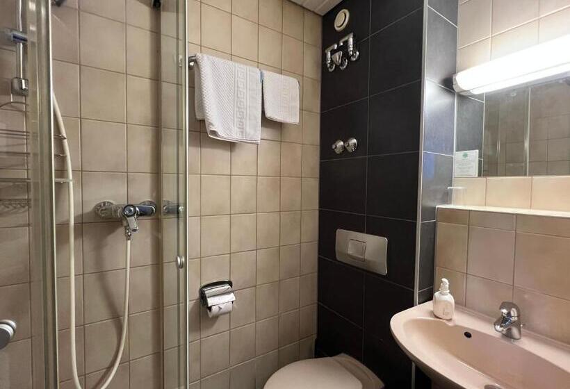 Номер Стандарт Двуспальная Кровать, Stadt