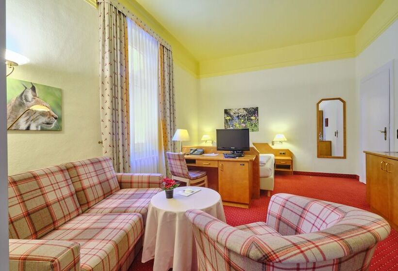 スタンダードシングルルーム, Tannenhof