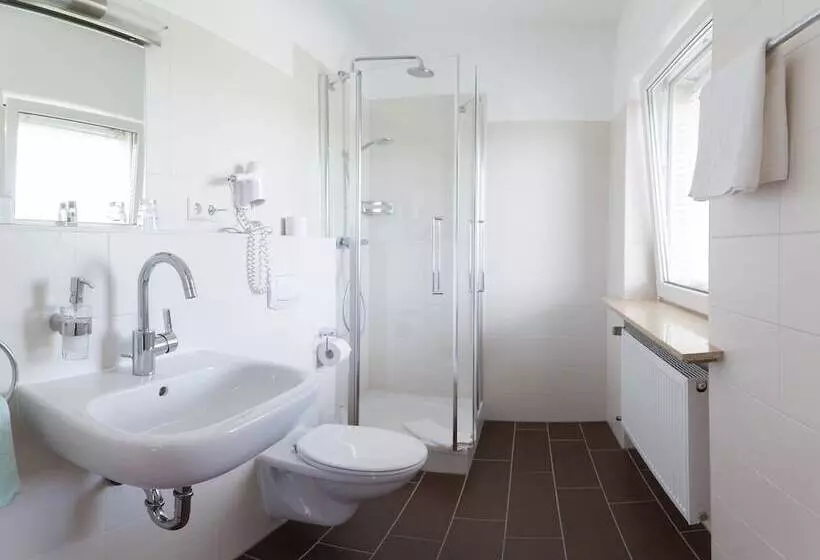 コンフォートシングルルーム, Vitalhotel König Am Park