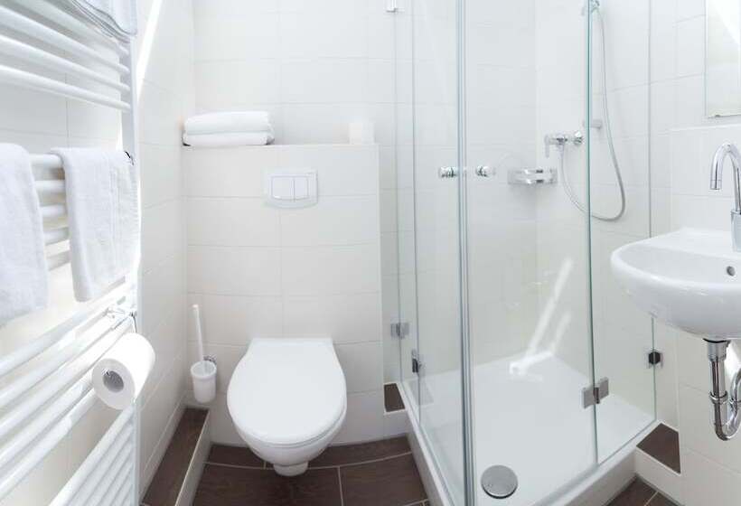 اتاق استاندارد یک نفره, Vitalhotel König Am Park