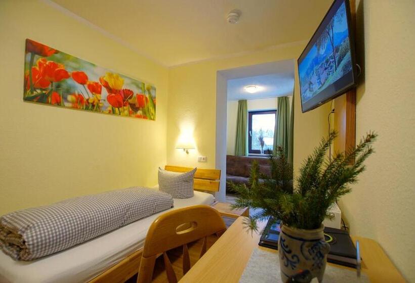 スタンダードシングルルーム, Waldmann