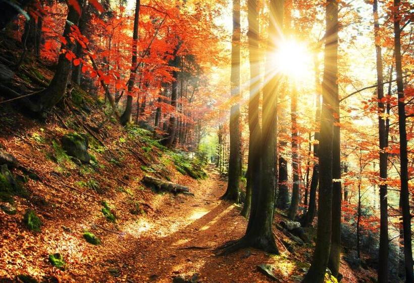 Полулюкс, Wellness & Ayurveda Hotel Am Eichenberg