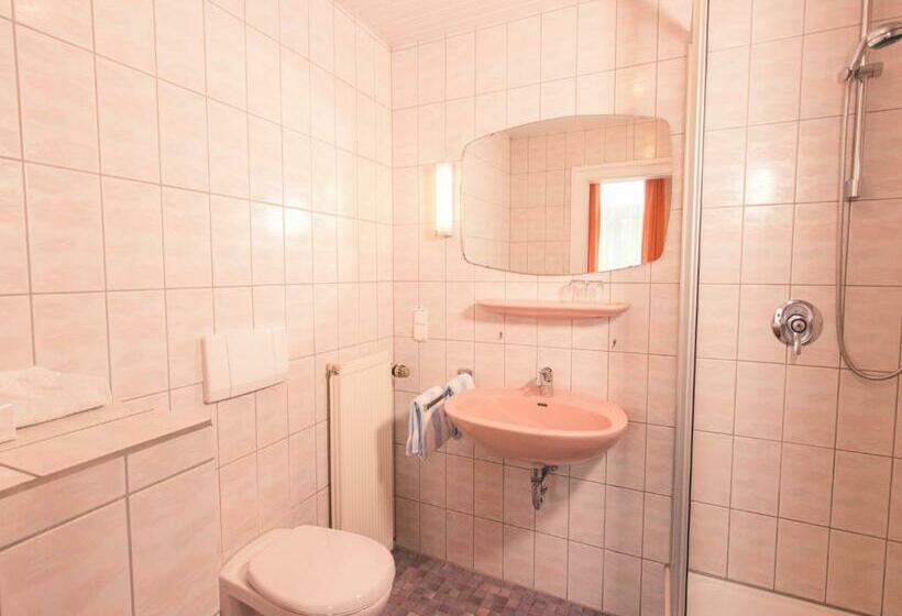 חדר סטנדרט לשלושה, Rheinhotel Starkenburger Hof