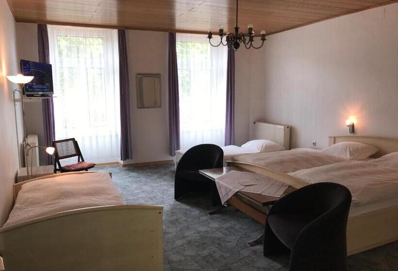 חדר סטנדרט לארבעה, Rheinhotel Starkenburger Hof