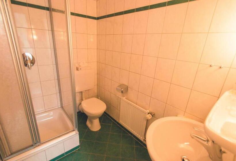 Четырехместный Номер Стандарт, Rheinhotel Starkenburger Hof