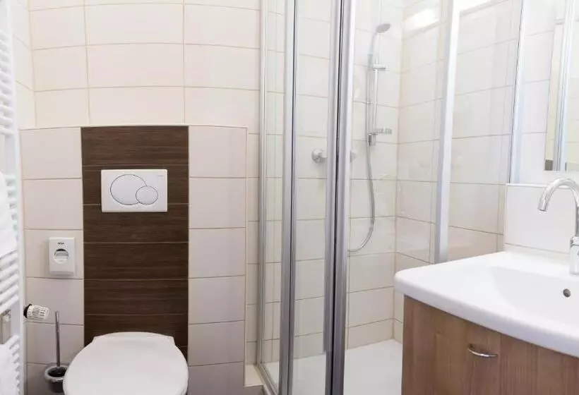 スタンダードシングルルーム, Vitalhotel König Am Park
