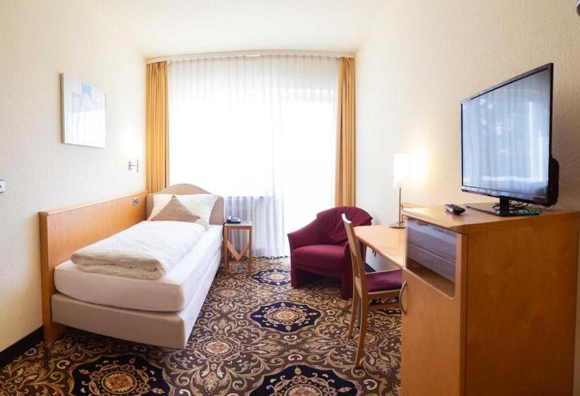 اتاق اکونومی یک تخته, Vitalhotel König Am Park