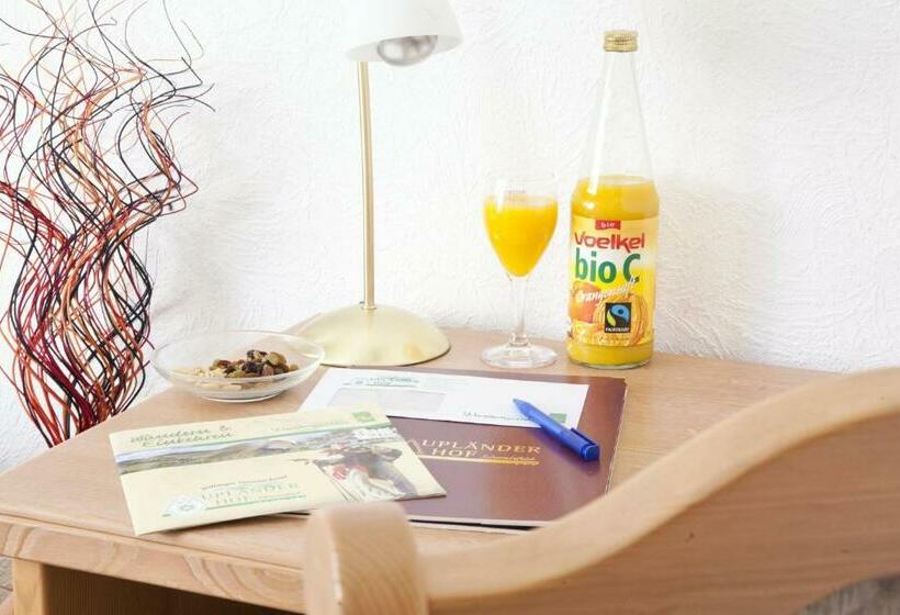 Номер Стандарт Индивидуальный, Bio Hotel Upländer Hof