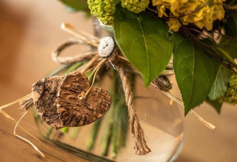 Номер Стандарт с Балконом, Alpspitz B&b