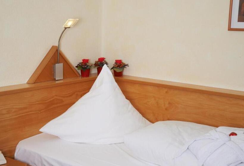 标准单人间, Cebulj