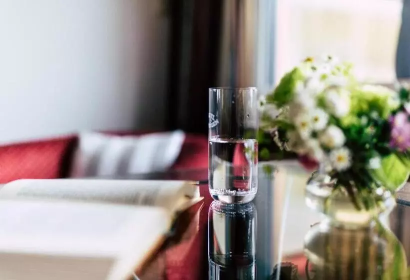 اتاق پریمیوم یک تخته, Terrassenhof