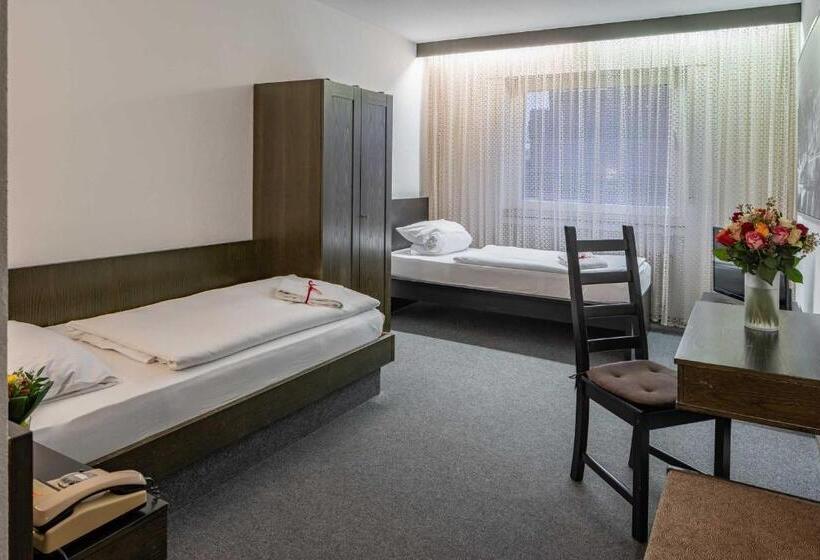 スタンダードシングルルーム, Wildpferd Dülmen