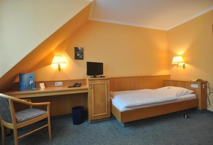 スタンダードシングルルーム, Zum Stern