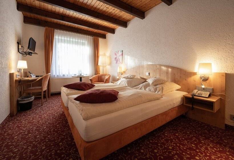 غرفة قياسية, Landhaus Dürkop