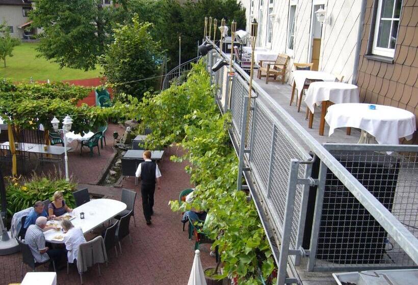 غرفة قياسية, Pension Zur Harburg