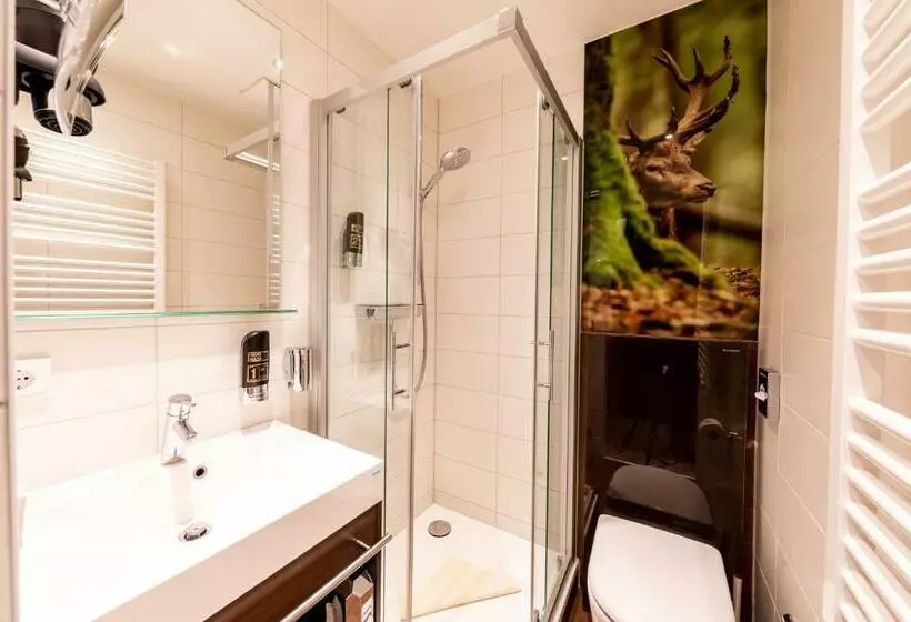 クラシックシングルルーム, Ringhotel Jägerhof