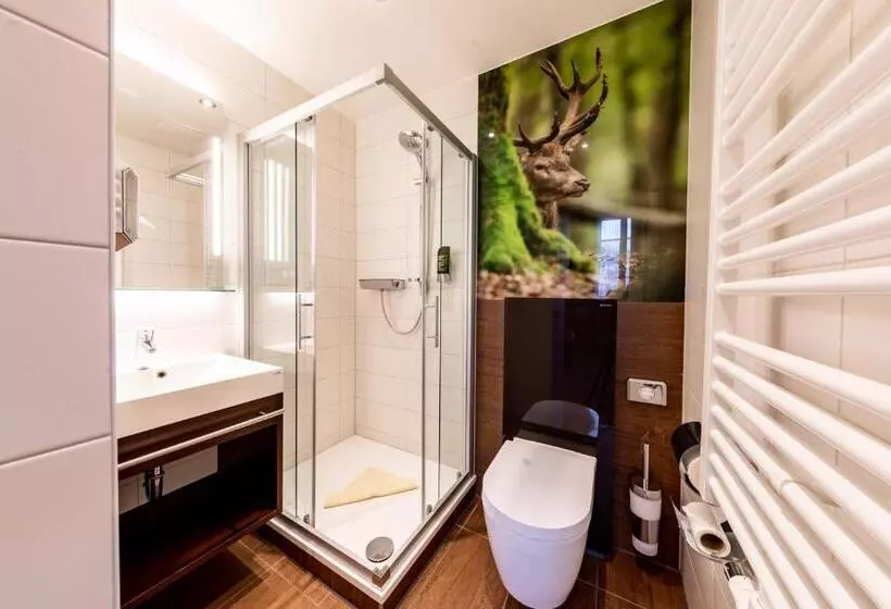 コンフォートシングルルーム, Ringhotel Jägerhof