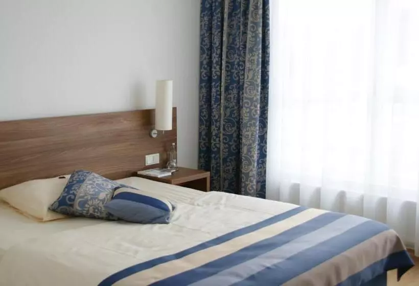 Standard Yhden Hengen Huone, Zar Hotel Vitalis