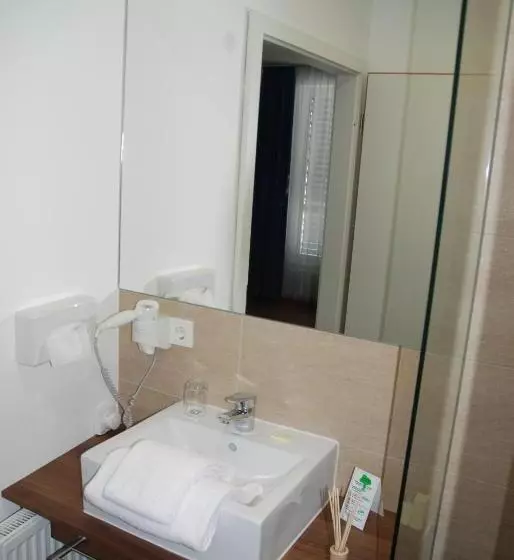 Standard Yhden Hengen Huone, Zar Hotel Vitalis