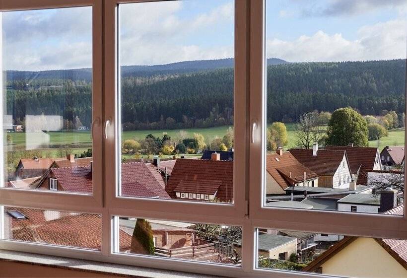 スタンダードシングルルーム, Berghotel Tambach