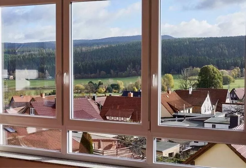 スタンダードシングルルーム, Berghotel Tambach