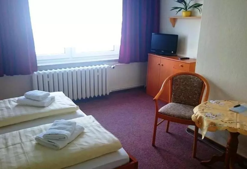 スタンダードシングルルーム, Ferienhotel Zwotatal