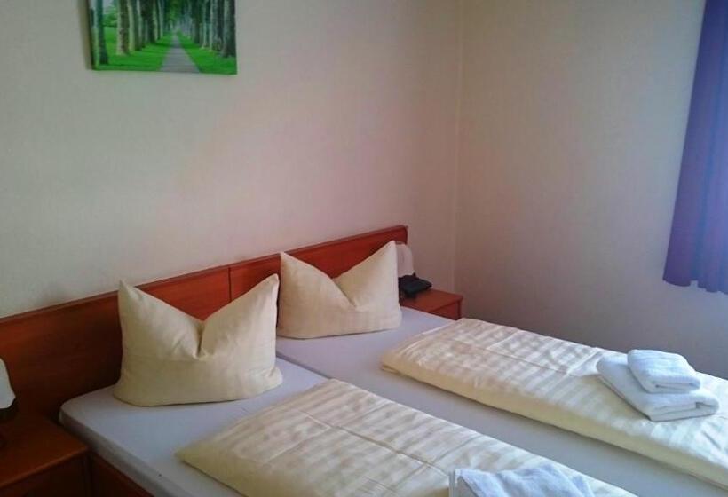 スタンダードシングルルーム, Ferienhotel Zwotatal