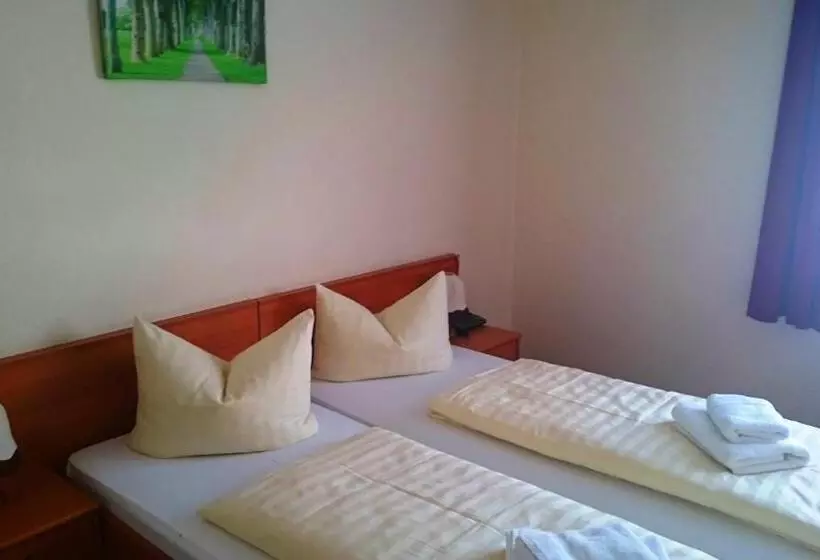 スタンダードシングルルーム, Ferienhotel Zwotatal