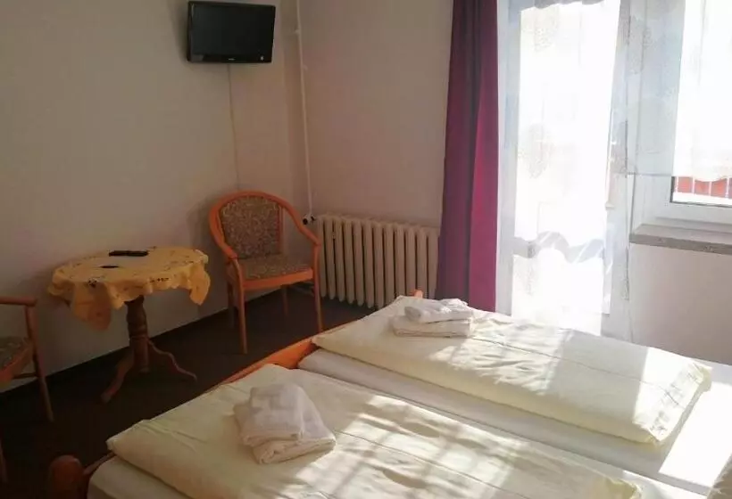 スタンダードシングルルーム, Ferienhotel Zwotatal