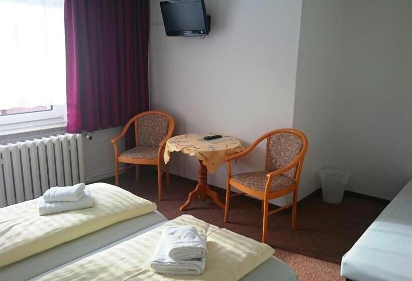 Номер Стандарт Трехместный, Ferienhotel Zwotatal