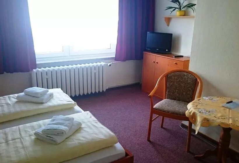 スタンダードルーム, Ferienhotel Zwotatal